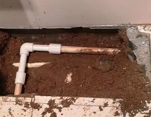 罗田测漏水哪家好