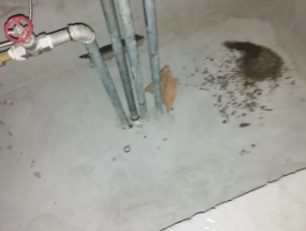 罗田卫生间测漏水价格明细